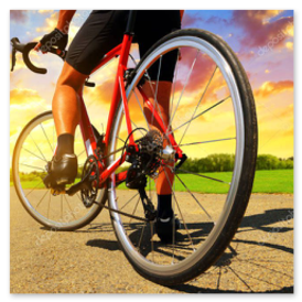 Gut ausgebauter Radweg durch Felder und Wiesen